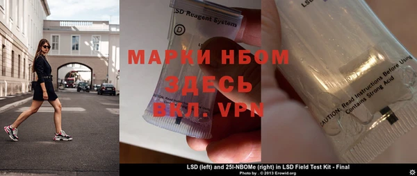 индика Алексин