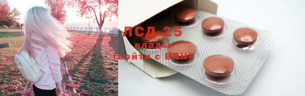 индика Алексин