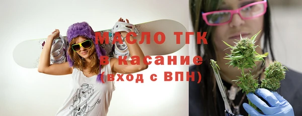 индика Алексин