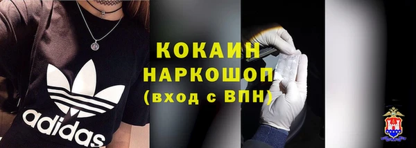 индика Алексин