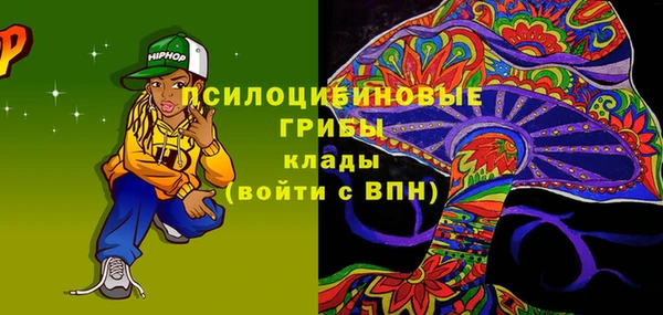 индика Алексин