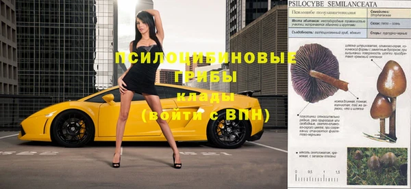 индика Алексин