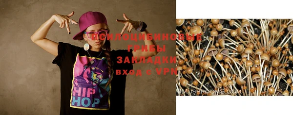 MESCALINE Карталы
