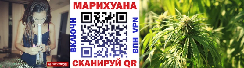 Бошки Шишки планчик Аргун